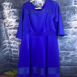 Lane Bryant Fit and Flare Sheer accents Dress